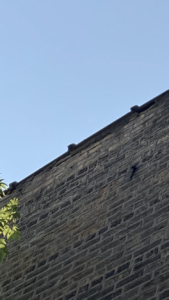 Parapet Wall Repair